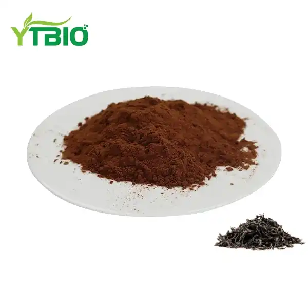 Black Tea Extract Powder